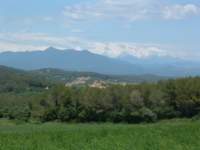 dscf0061_small.jpg