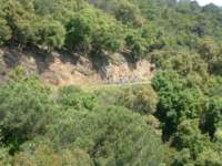 dscf0070_small.jpg