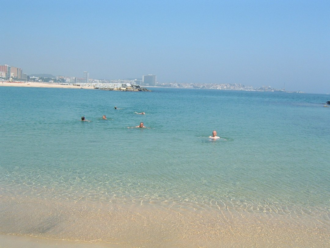 dscf0007.jpg