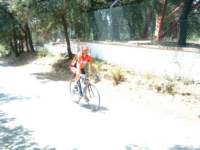 dscf0036_small.jpg