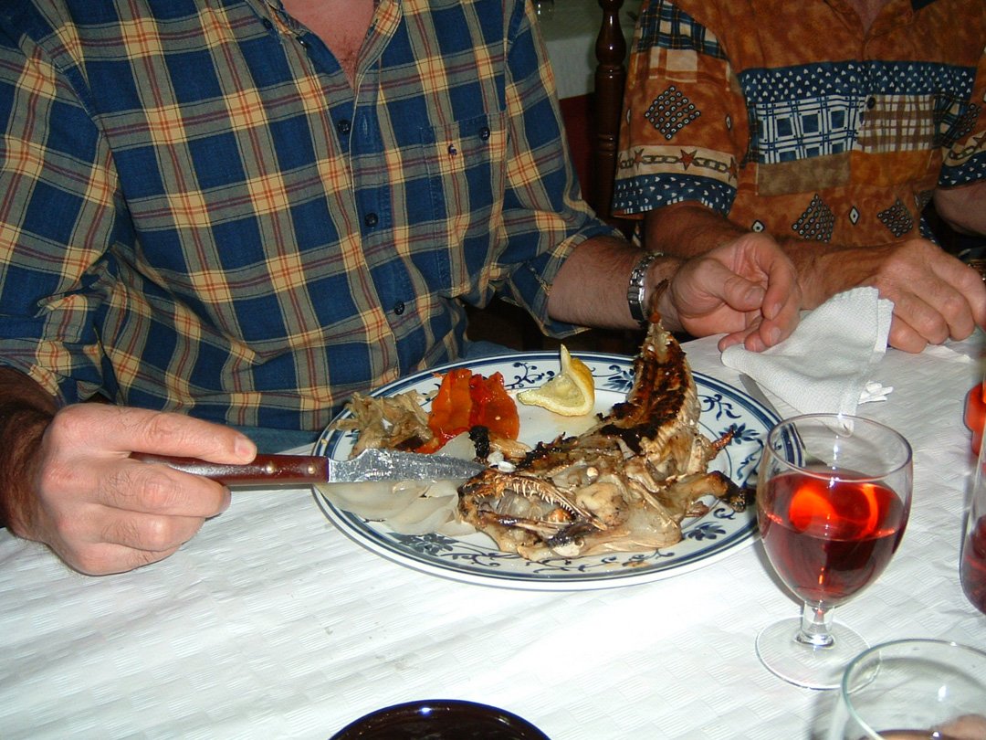 dscf0049.jpg