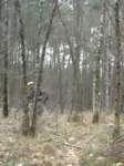 _0226image0048_small.jpg