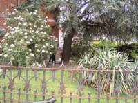 _0509image0001_small.jpg