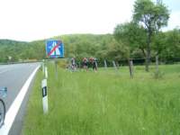 eifel_leo_yves0135_small.jpg