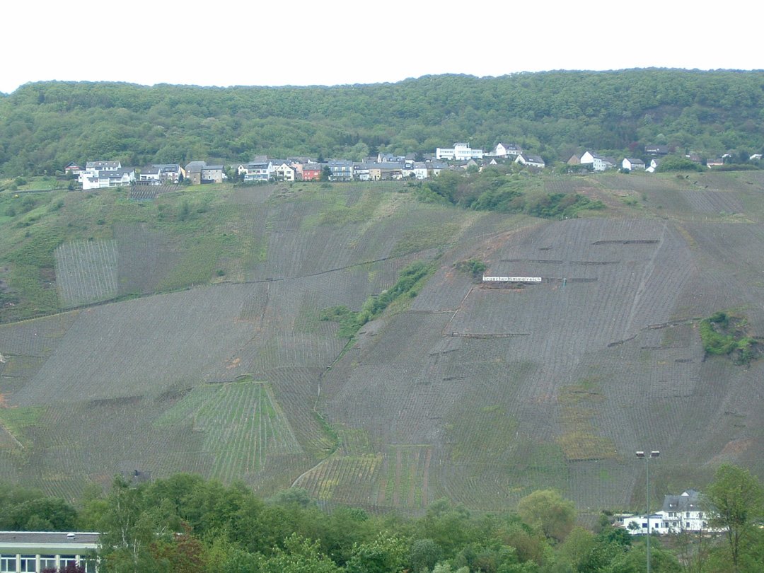 c12.jpg