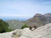 _500096_small.jpg