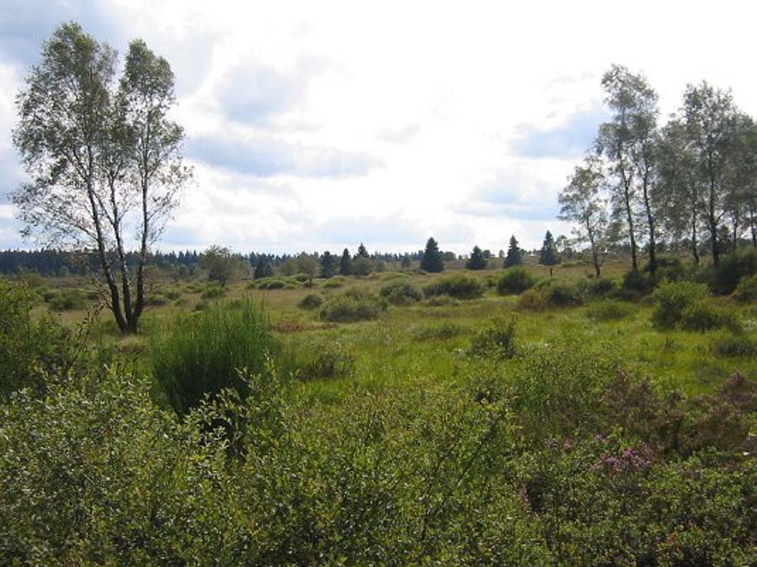 photo3.jpg