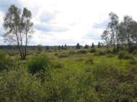 photo3_small.jpg
