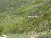pict0070_small.jpg