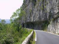 pict0118_small.jpg