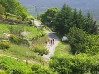 pict0128_small.jpg