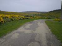 pict0139_small.jpg