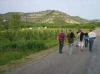 pict0144_small.jpg