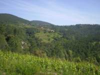pict0151_small.jpg