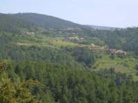 pict0157_small.jpg