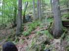 dsc02694_small.jpg