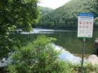 dsc02722_small.jpg