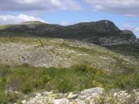 pict0079_small.jpg