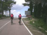 pict0141_small.jpg